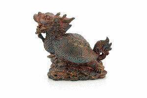 360度旋轉(zhuǎn)gif動(dòng)畫
